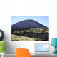 Pacaya Volcano Guatemala Wall Decal