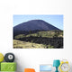 Pacaya Volcano Guatemala Wall Decal