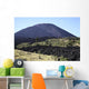 Pacaya Volcano Guatemala Wall Decal
