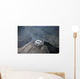 Eruption Summit Santiaguito Dome Wall Decal