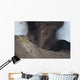 Strombolian Eruption Stromboli Volcano Wall Decal Design 3
