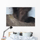 Strombolian Eruption Stromboli Volcano Wall Decal Design 3