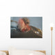 Strombolian Eruption Stromboli Volcano Wall Decal Design 2