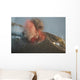 Strombolian Eruption Stromboli Volcano Wall Decal Design 2