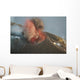 Strombolian Eruption Stromboli Volcano Wall Decal Design 2