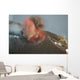 Strombolian Eruption Stromboli Volcano Wall Decal Design 2