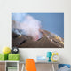 Strombolian Eruption Stromboli Volcano Wall Decal Design 1