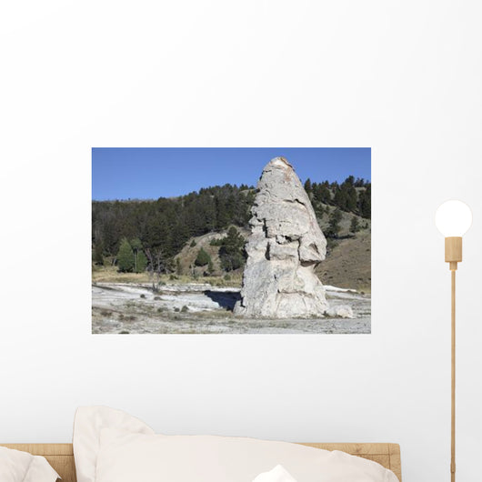 Liberty Cap Exposed Hot Wall Decal