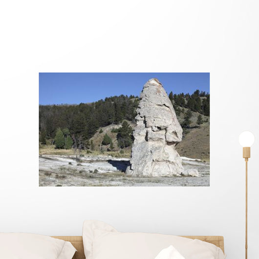 Liberty Cap Exposed Hot Wall Decal