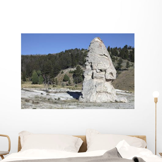 Liberty Cap Exposed Hot Wall Decal