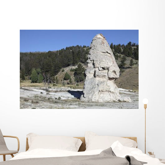 Liberty Cap Exposed Hot Wall Decal