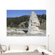 Liberty Cap Exposed Hot Wall Decal
