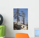Trees Sinter Terraces near Wall Decal