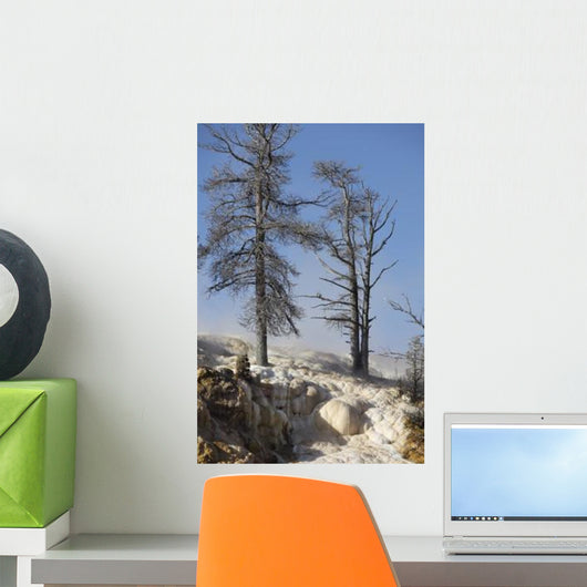 Trees Sinter Terraces near Wall Decal