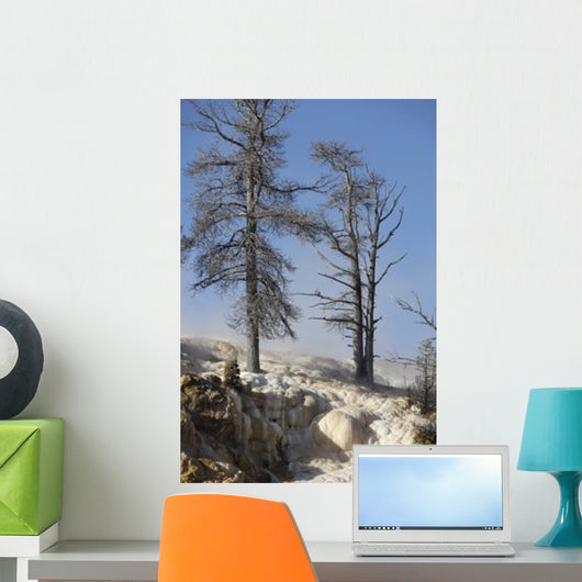Trees Sinter Terraces near Wall Decal