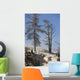 Trees Sinter Terraces near Wall Decal