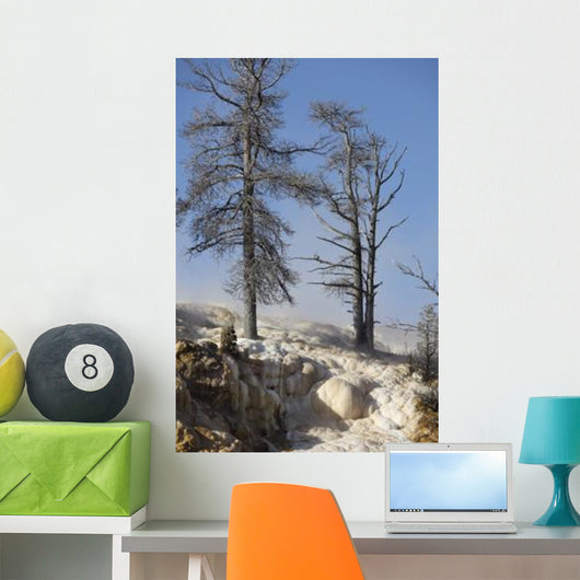 Trees Sinter Terraces near Wall Decal