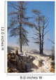 Trees Sinter Terraces near Wall Decal