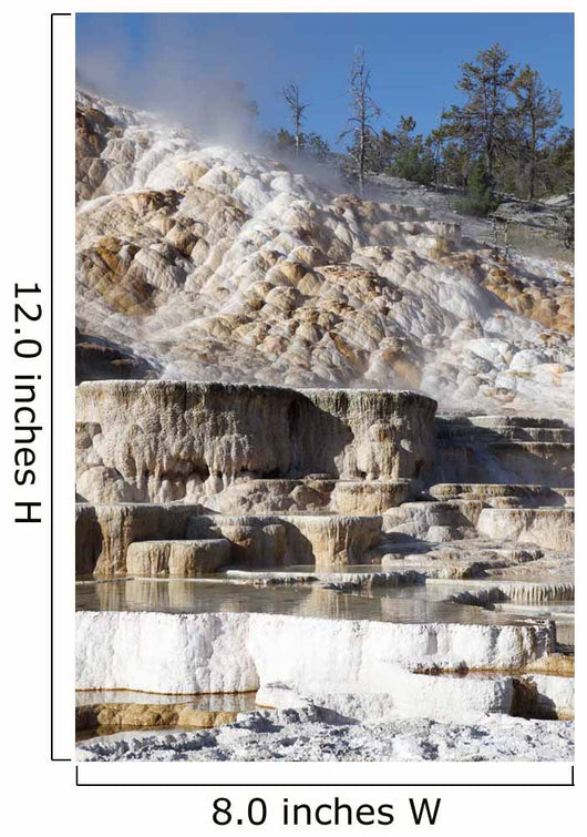 Palette Spring and Travertine Wall Decal Design 3
