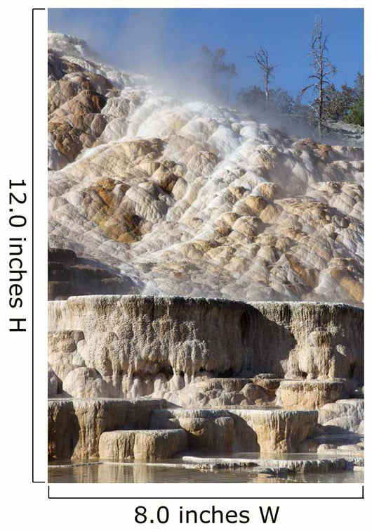 Palette Spring and Travertine Wall Decal Design 1