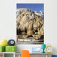 Cleopatra Terrace Mammoth Hot Wall Decal Design 2