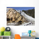 Cleopatra Terrace Mammoth Hot Wall Decal Design 1