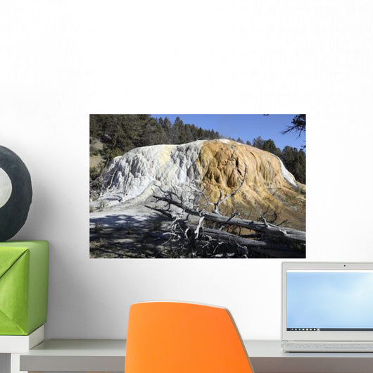 Orange Spring Mound Travertine Wall Decal