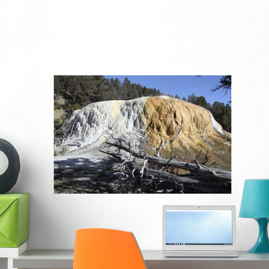 Orange Spring Mound Travertine Wall Decal