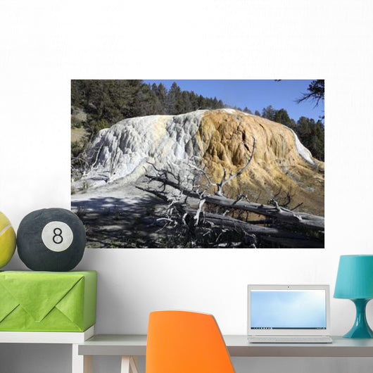 Orange Spring Mound Travertine Wall Decal