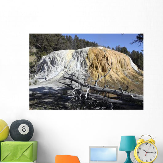 Orange Spring Mound Travertine Wall Decal