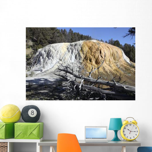 Orange Spring Mound Travertine Wall Decal