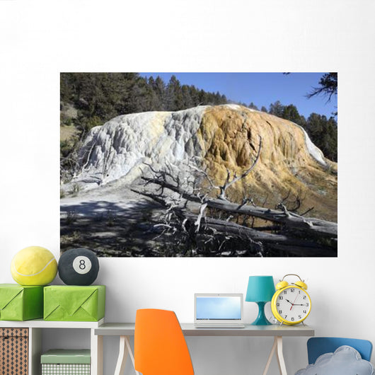 Orange Spring Mound Travertine Wall Decal