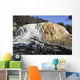 Orange Spring Mound Travertine Wall Decal