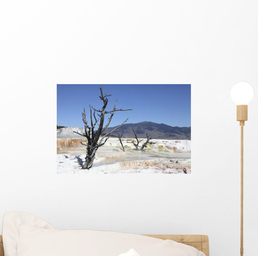 Main Travertine Sinter Terrace Wall Decal Design 2