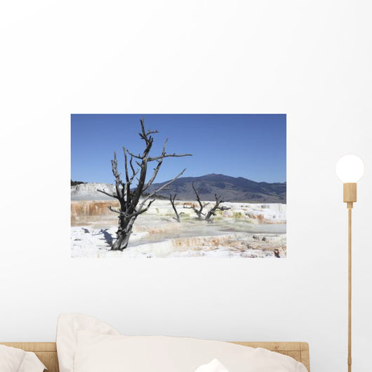 Main Travertine Sinter Terrace Wall Decal Design 2