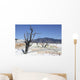 Main Travertine Sinter Terrace Wall Decal Design 2