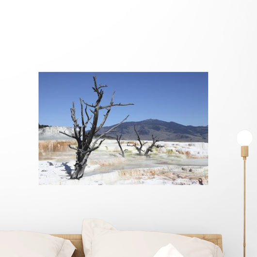 Main Travertine Sinter Terrace Wall Decal Design 2