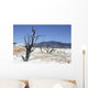 Main Travertine Sinter Terrace Wall Decal Design 2