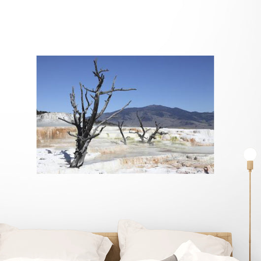 Main Travertine Sinter Terrace Wall Decal Design 2