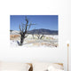 Main Travertine Sinter Terrace Wall Decal Design 2