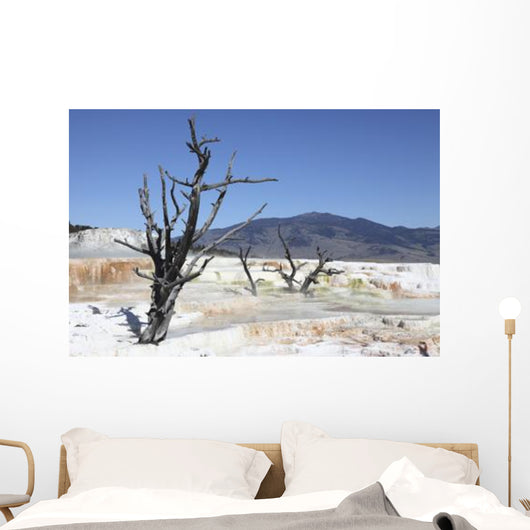 Main Travertine Sinter Terrace Wall Decal Design 2