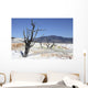 Main Travertine Sinter Terrace Wall Decal Design 2