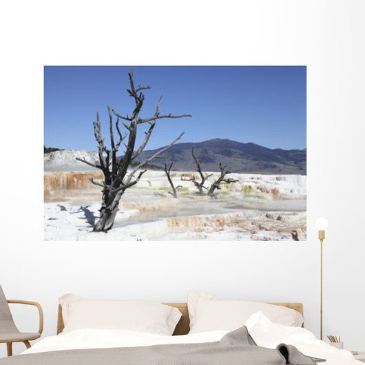 Main Travertine Sinter Terrace Wall Decal Design 2