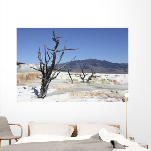 Main Travertine Sinter Terrace Wall Decal Design 2
