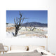 Main Travertine Sinter Terrace Wall Decal Design 2