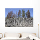 Basalt Columns Formed Cooling Wall Decal Design 1