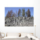 Basalt Columns Formed Cooling Wall Decal Design 1