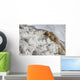Main Travertine Sinter Terrace Wall Decal Design 1