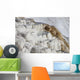 Main Travertine Sinter Terrace Wall Decal Design 1