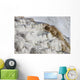 Main Travertine Sinter Terrace Wall Decal Design 1